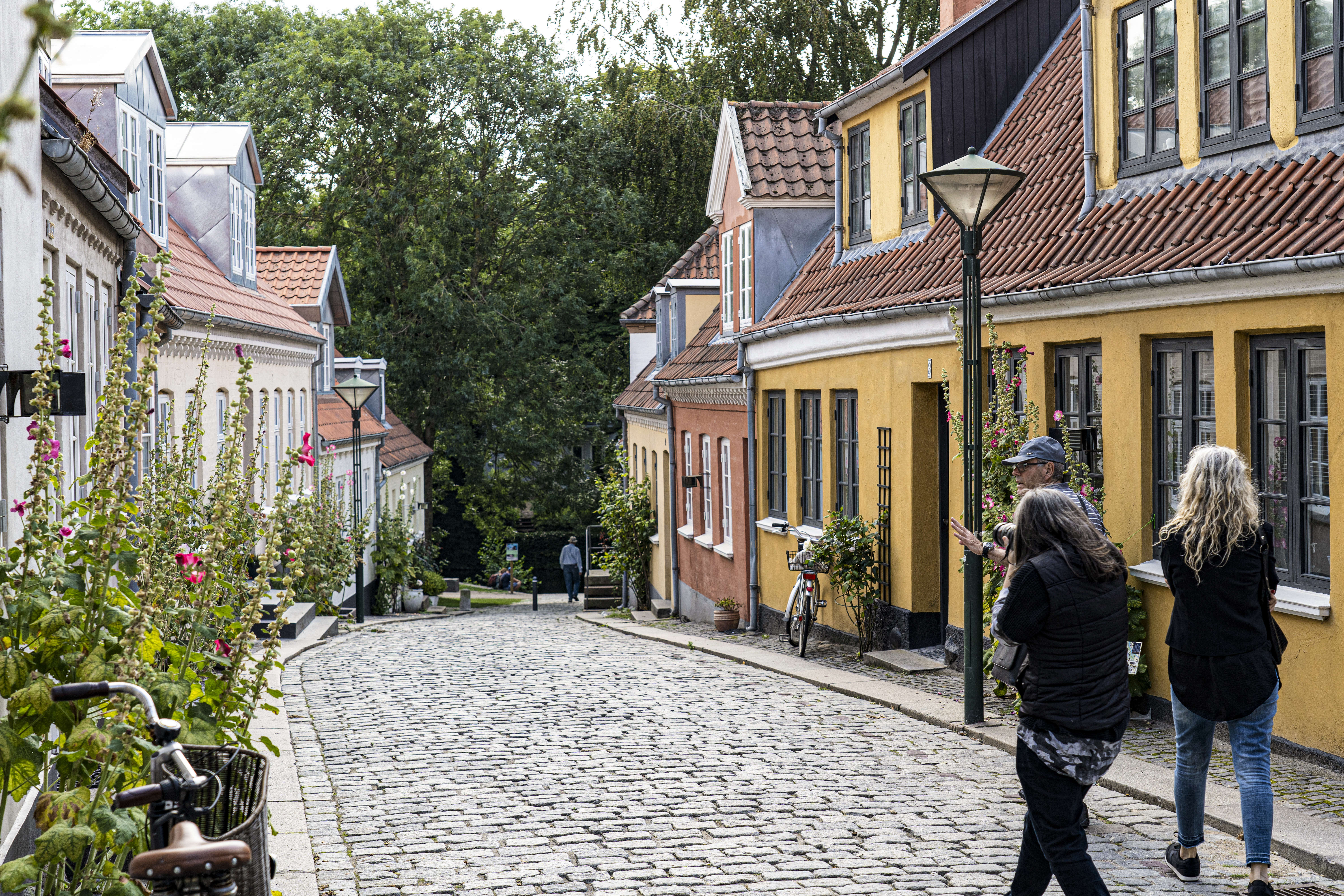 Odense street view